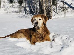 Nature's Inn Red Lake