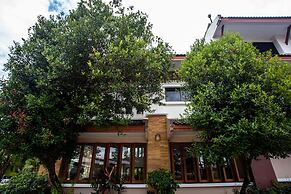 Ariya Inn Chiang Rai