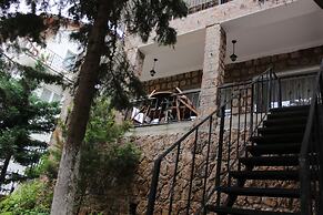 Büyükada Apart Hotel - Karadağ Apart