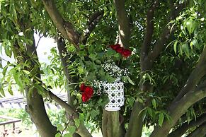 Casa Valxisto Country House