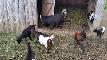 Casa Valxisto Country House