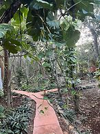 Eco-Hotel Nueva Altia