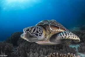 Isla Hayahay Beach Resort and Restaurant