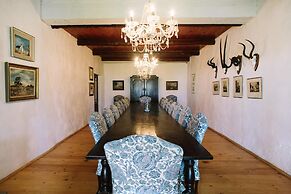 Endless Vineyards at Wildekrans Wine Estate