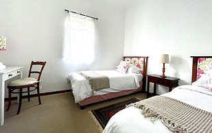 Endless Vineyards at Wildekrans Wine Estate