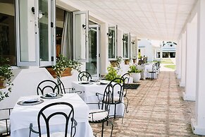 Endless Vineyards at Wildekrans Wine Estate
