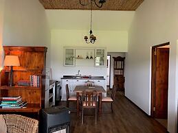 Endless Vineyards at Wildekrans Wine Estate