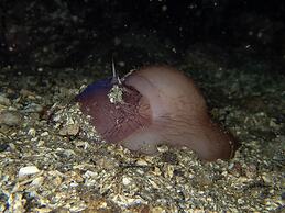 The Tuwanek Hotel and Spa