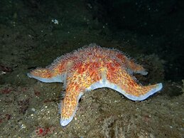 The Tuwanek Hotel and Spa