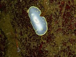 The Tuwanek Hotel and Spa