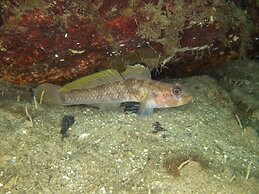 The Tuwanek Hotel and Spa