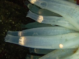 The Tuwanek Hotel and Spa