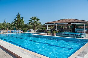 Zante Nest Studios & Apartments