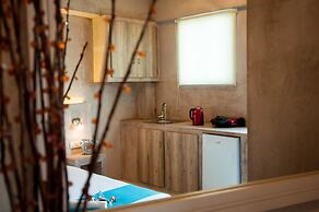 Zante Nest Studios & Apartments