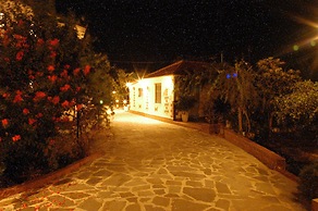 Zante Nest Studios & Apartments