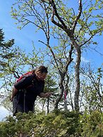 Buustamons Fjällgård