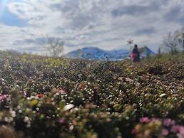 Buustamons Fjällgård