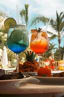 Soficu Eden Dominicus