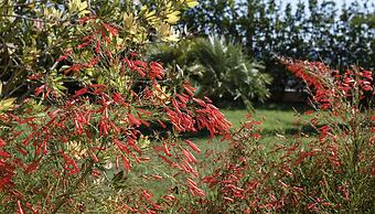 Sikelika - Residence sul mare