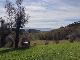 Quinta do Rapozinho