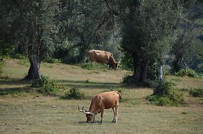 Quinta do Rapozinho