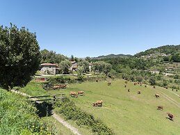 Quinta do Rapozinho
