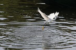 Pantanal Mato Grosso Hotel
