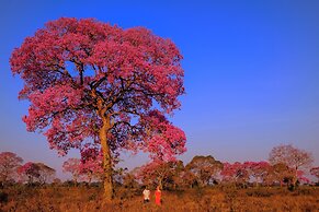 Pantanal Mato Grosso Hotel