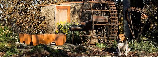 Laranjalimao Guest House