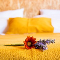 Laranjalimao Guest House