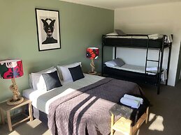 Sow and Piglets Guesthouse - Hostel