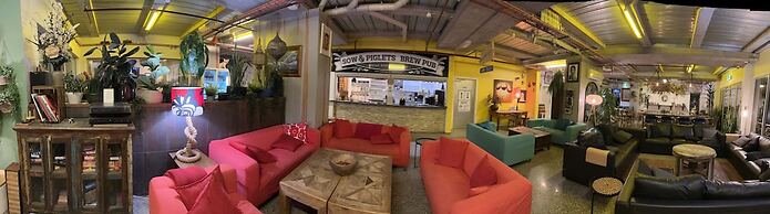 Sow and Piglets Guesthouse - Hostel