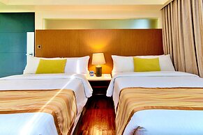 The Ferra Premier by JG