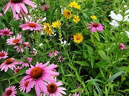 The Captain's House B&B