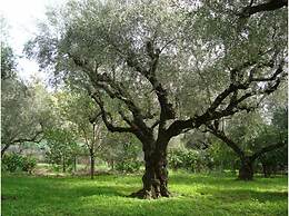 Castelli Hotel Adults Only - All Inclusive