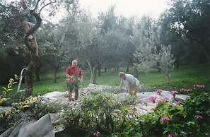 Castelli Hotel Adults Only - All Inclusive