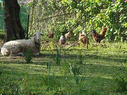 Castelli Hotel Adults Only - All Inclusive