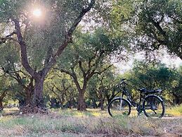 Castelli Hotel Adults Only - All Inclusive