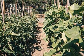 Castelli Hotel Adults Only - All Inclusive