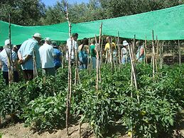 Castelli Hotel Adults Only - All Inclusive