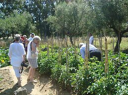 Castelli Hotel Adults Only - All Inclusive