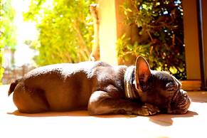 Hotel Royal Bon Repos