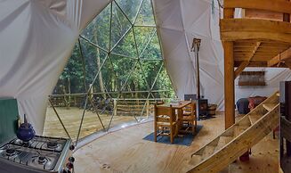 Cabañas Ensenada Bosque Nativo