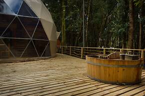 Cabañas Ensenada Bosque Nativo