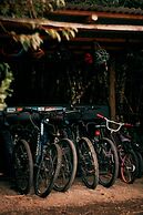 Cabañas Ensenada Bosque Nativo