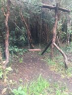 Cabañas Ensenada Bosque Nativo