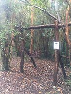 Cabañas Ensenada Bosque Nativo