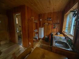 Cabañas Ensenada Bosque Nativo