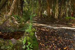 Cabañas Ensenada Bosque Nativo