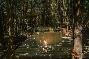 Cabañas Ensenada Bosque Nativo